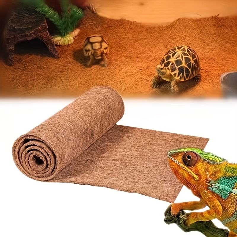 Coco coir outlet tortoise substrate