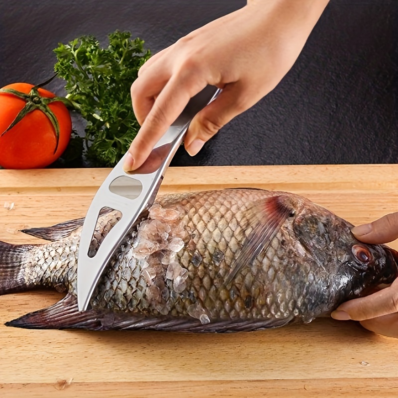 Éplucheur de pêche pour retirer les écailles de poisson, brosse à poisson,  écailles de poisson, cuisine, salle à manger et bar (vert, taille unique) :  : Maison