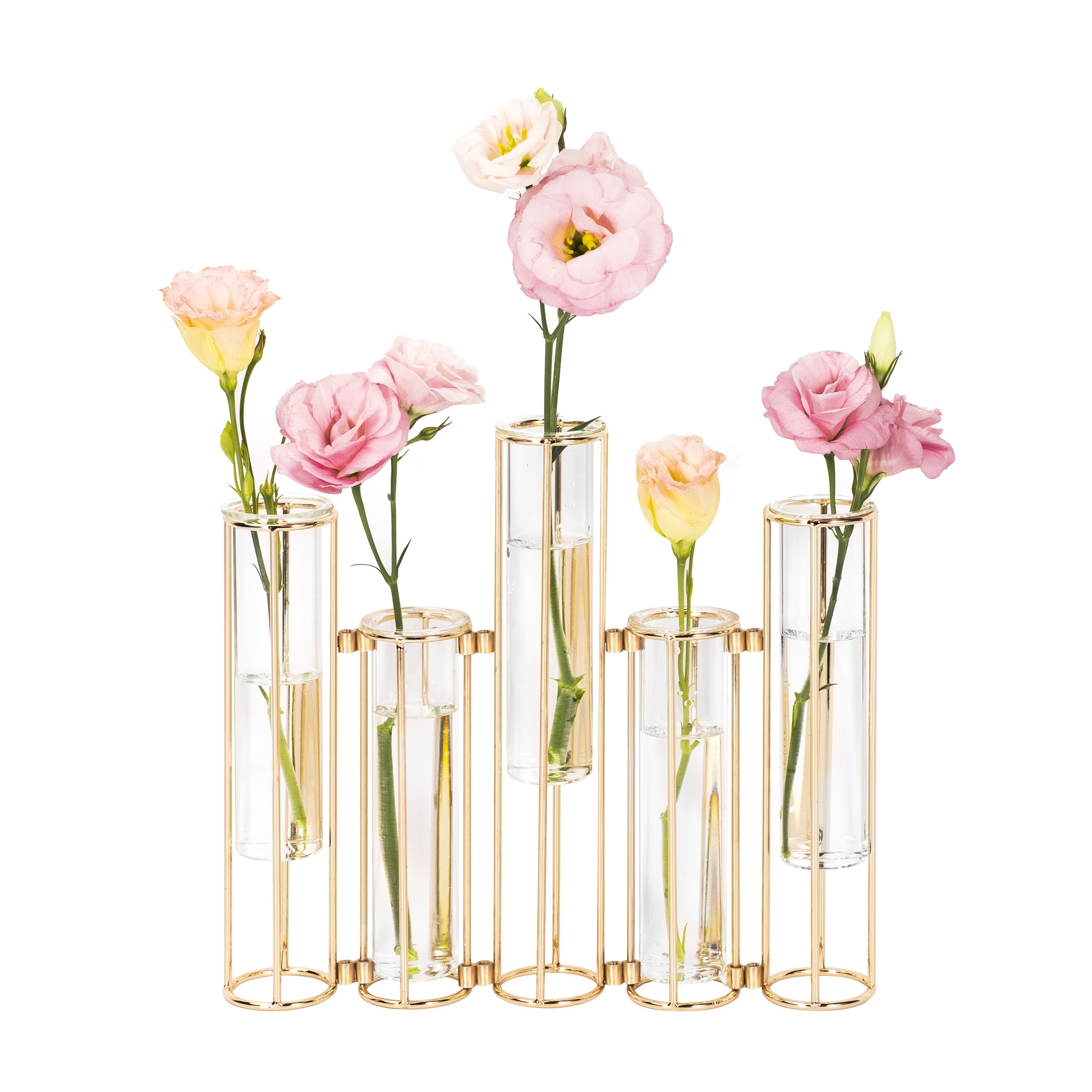 Hinged Flower Vase Test Tube, 8pcs Test Tubes Flower Vases Plant Display  Holder, Table Centerpieces Vase With Brush