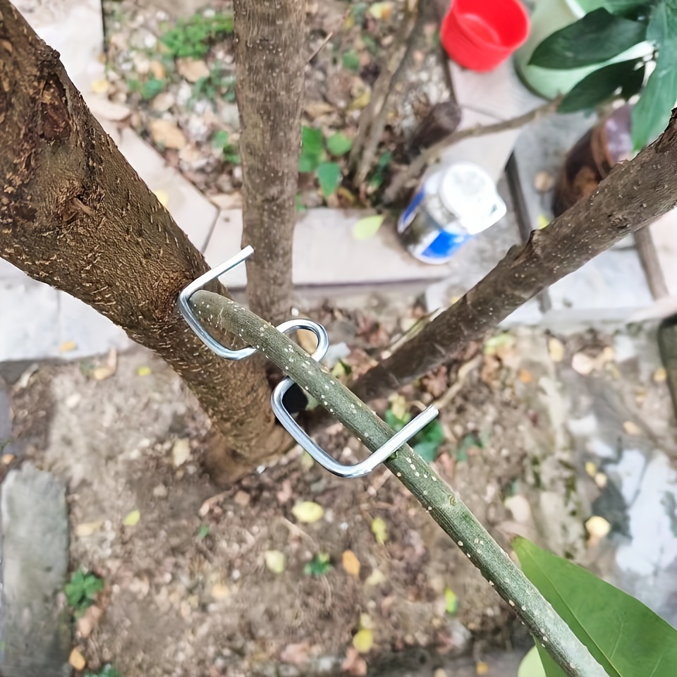 

12pcs Fruit Tree Puller Set, Fruit Branch Hanger Branch Hanger Puller For Shaping Fruit Branches, Branch Bending Tool