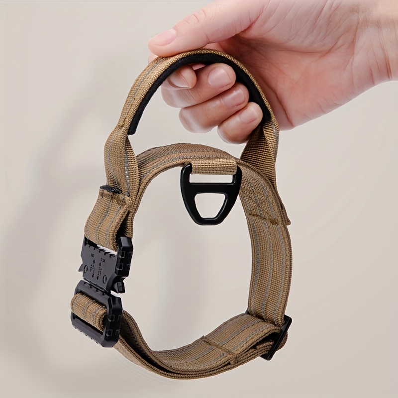 Collier tactique pour chien avec sa laisse assortie