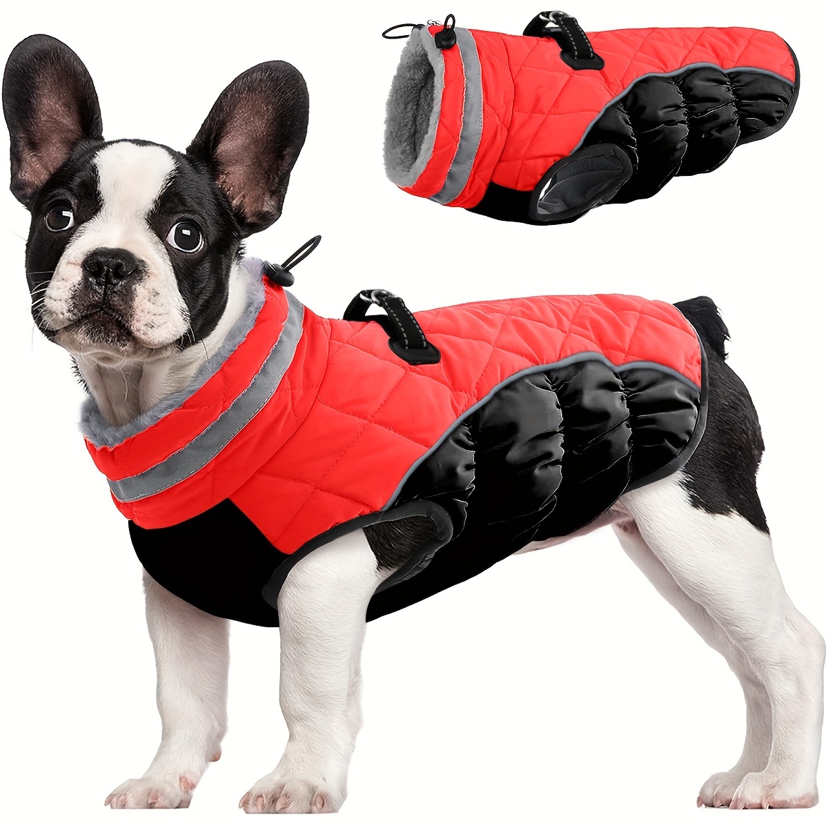Giacca in pelle per animali domestici Abbigliamento invernale impermeabile per  cani Cappotto invernale caldo in autunno