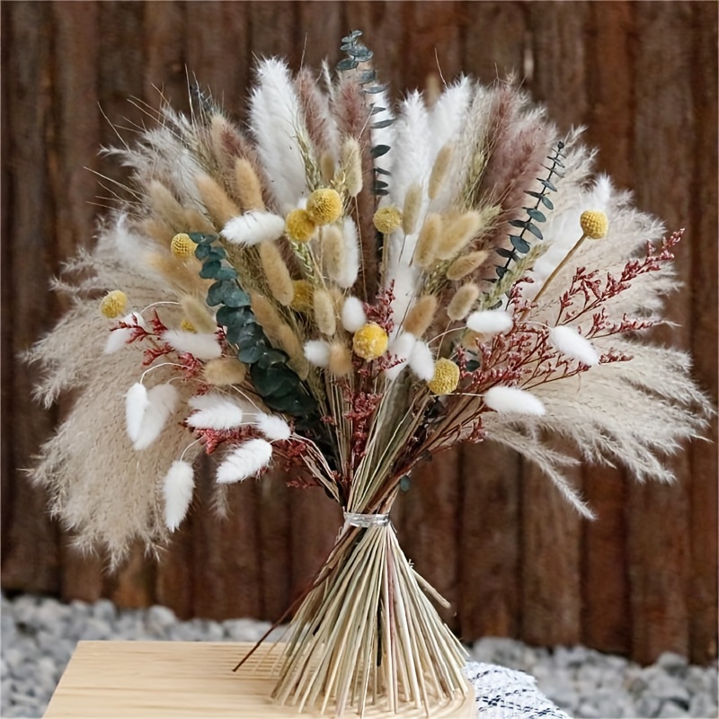 Flores secas naturales brasileñas pequeñas – Estrella – Margarita Seca  Decorativa Mini Ramo de manzanilla para boda, arreglos florales, decoración  del