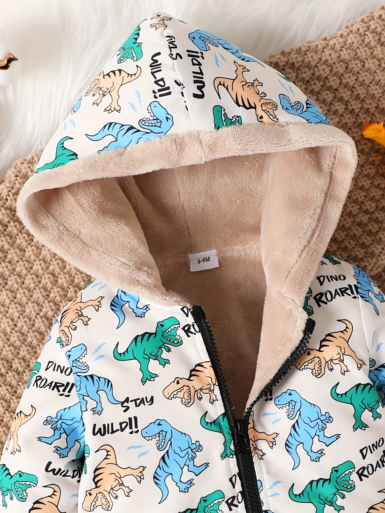 Toddler boy sales dinosaur hoodie