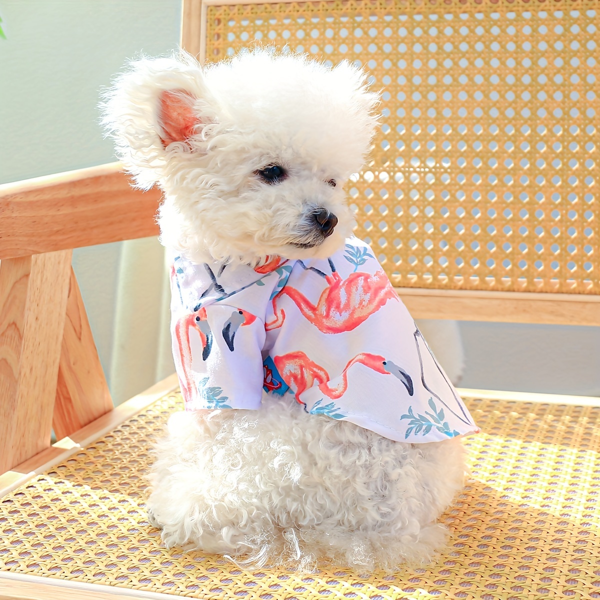 Flamingo shop dog shirt