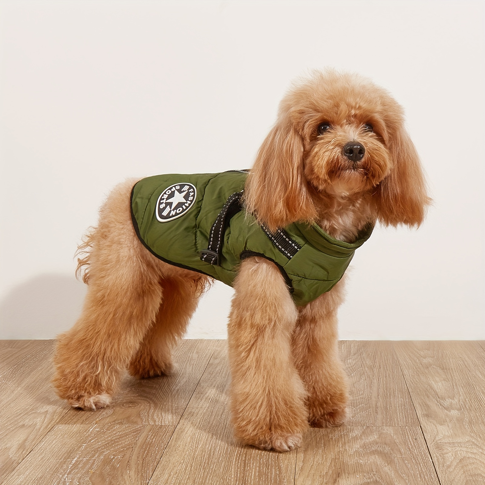 Dog flying outlet jacket