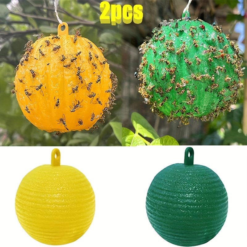 Visland 8PCS Reusable Non-Toxic Fruit Fly Traps, Indoor Outdoor