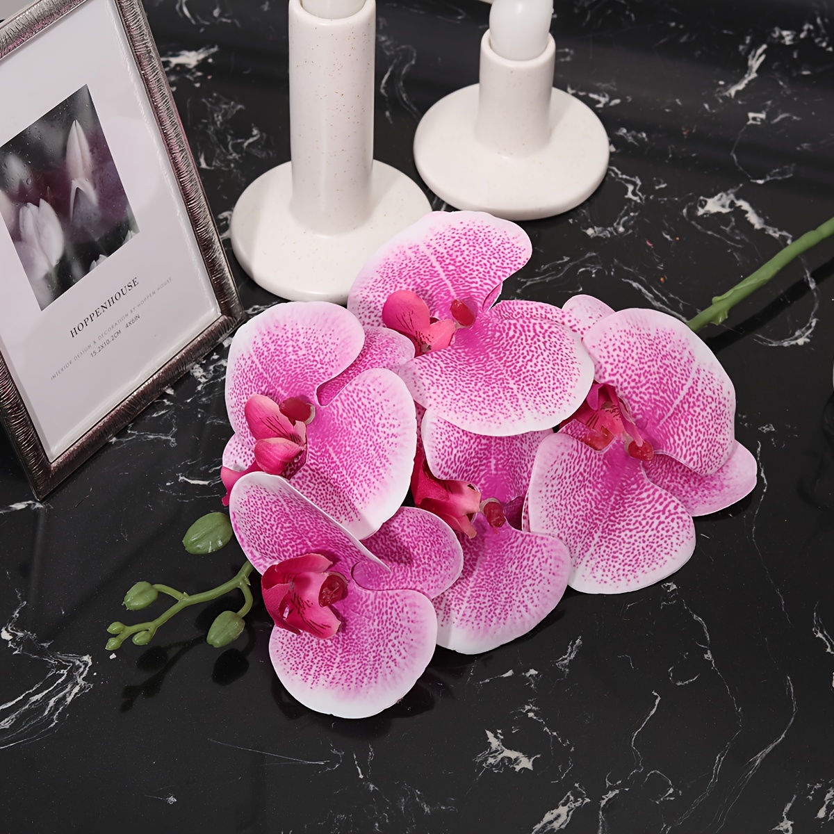 white and pink orchid flowers