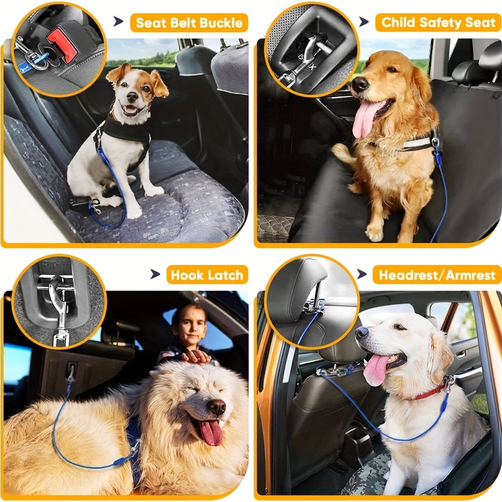 Laisse pour chien avec boucle de ceinture de sécurité