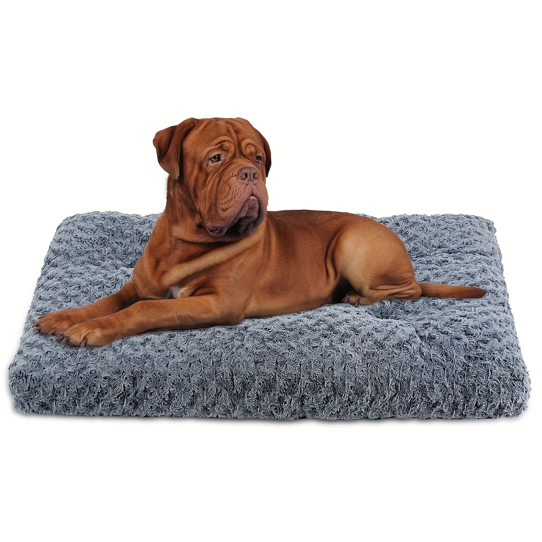 RSUNG Tapis de lit pour chien en velours corail doux pour animal de  compagnie - Tapis de sol chaud et antidérapant pour salon, chambre à  coucher (rond, 140 cm, café) : : Animalerie