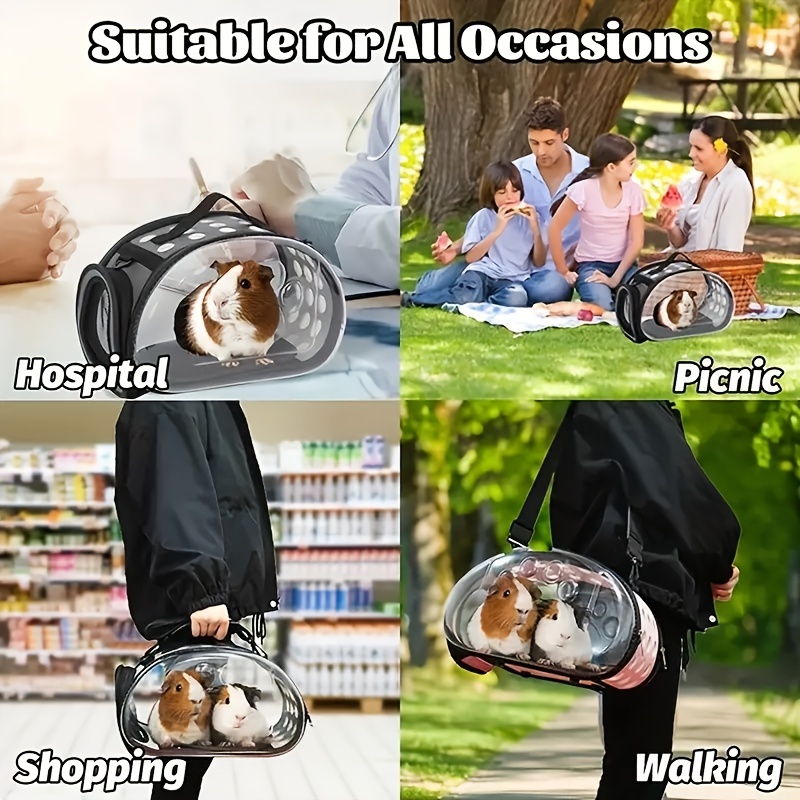 Small Travel Pet Bubble Backpack For Cats And Puppies