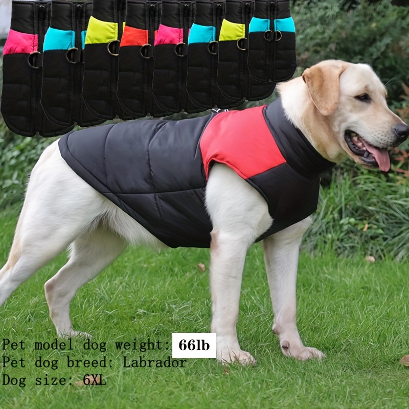 Vetement chien 2024 petite taille