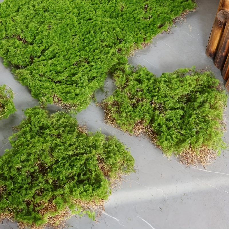 Natural Green Moss Block For Landscaping Diy Terrariums - Temu