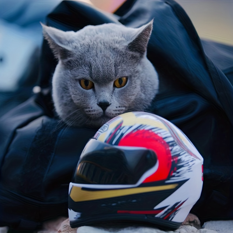 Kleiner Haustier-motorradhelm, Katzen-mini-helme, Helm, Outdoor-kopfschutz,  Haustier-schutzhelm - Haustierbedarf - Temu Germany