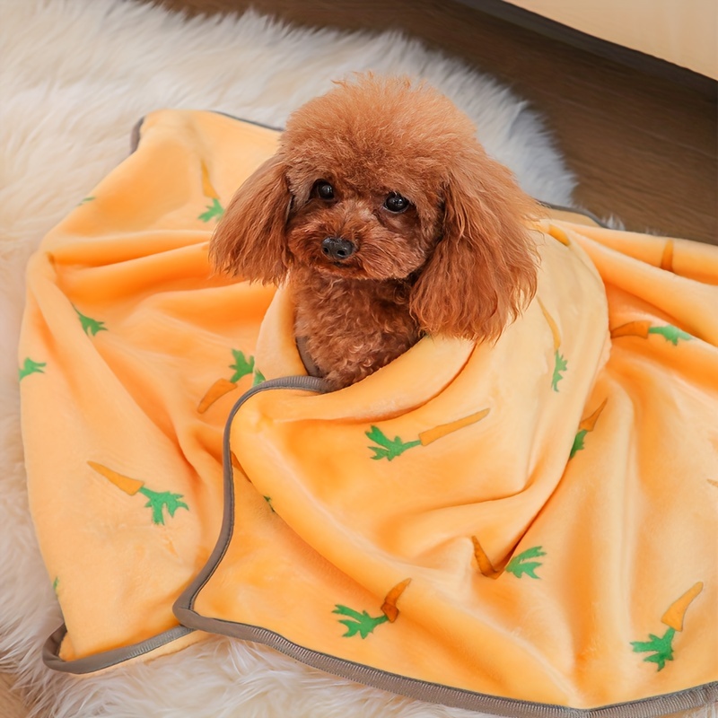 Large hotsell pet blanket