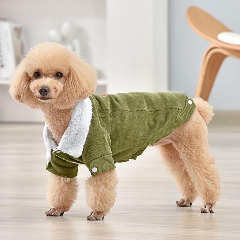 Cat Dog Coat - Temu