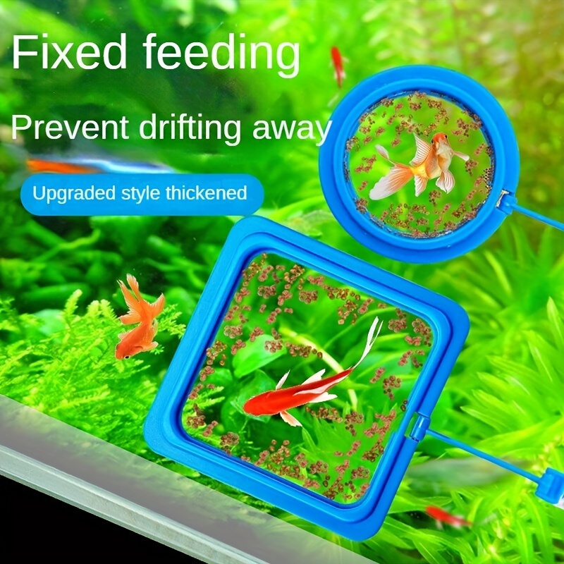 Aquarium Basket Feeder Fish Food Live Worm Bloodworm Cone Feed Fish Tank  For Feeding Fish