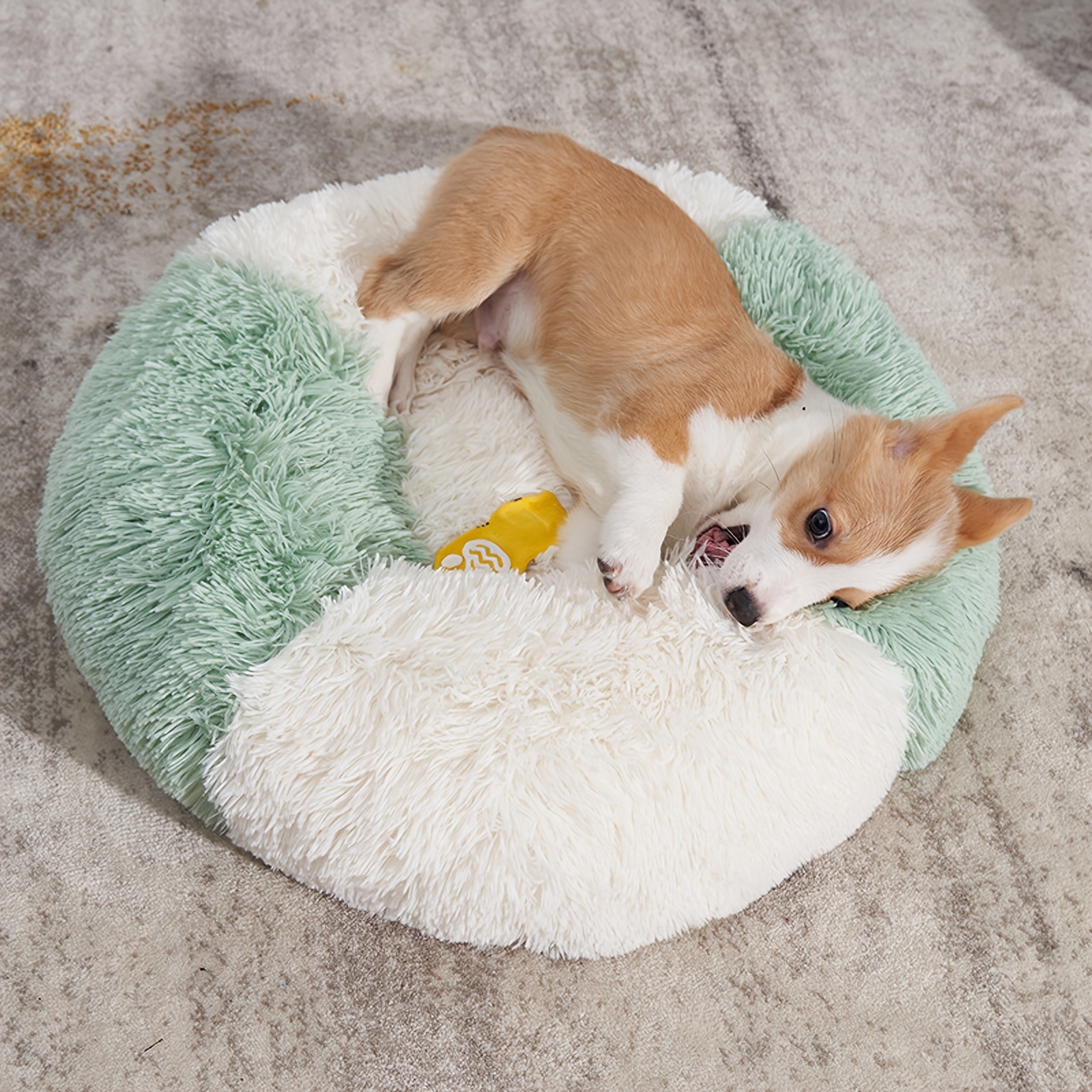 Plush Pet Bed For Indoor Dogs Cats Donut Cat Bed Soft Round - Temu ...