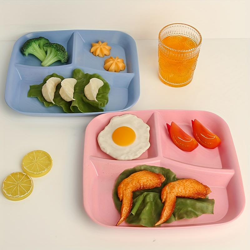Portion Perfection bariatric portion control container/lunchbox