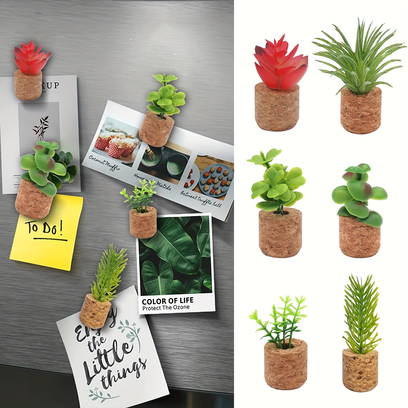 Cactus Aimant Frigo,12pcs Plantes Succulentes Mignonnes Aimants pour  Réfrigérateur, Aimants Décoratifs pour Le Cadeau de