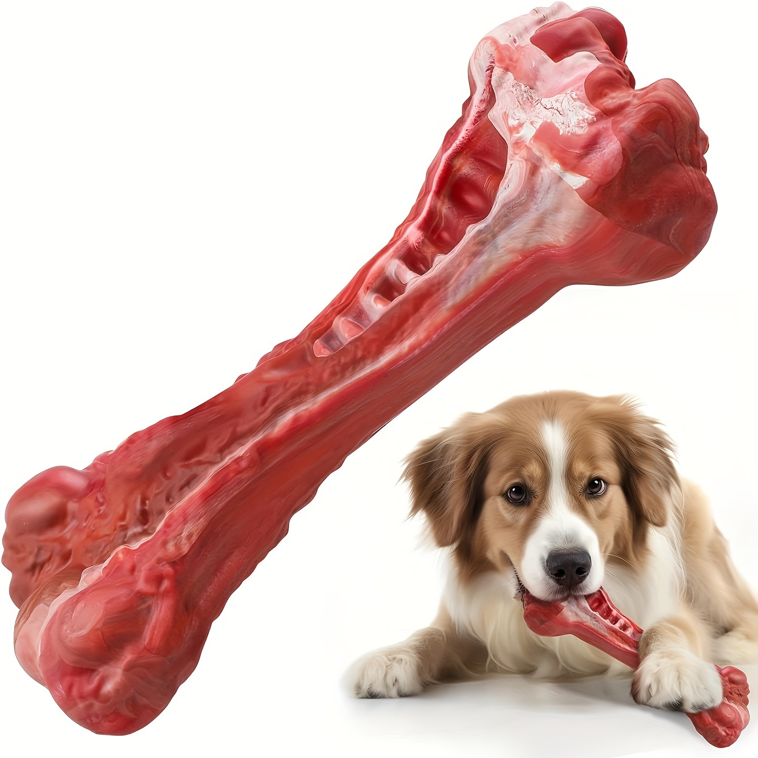 Dog aggressive shop with bone