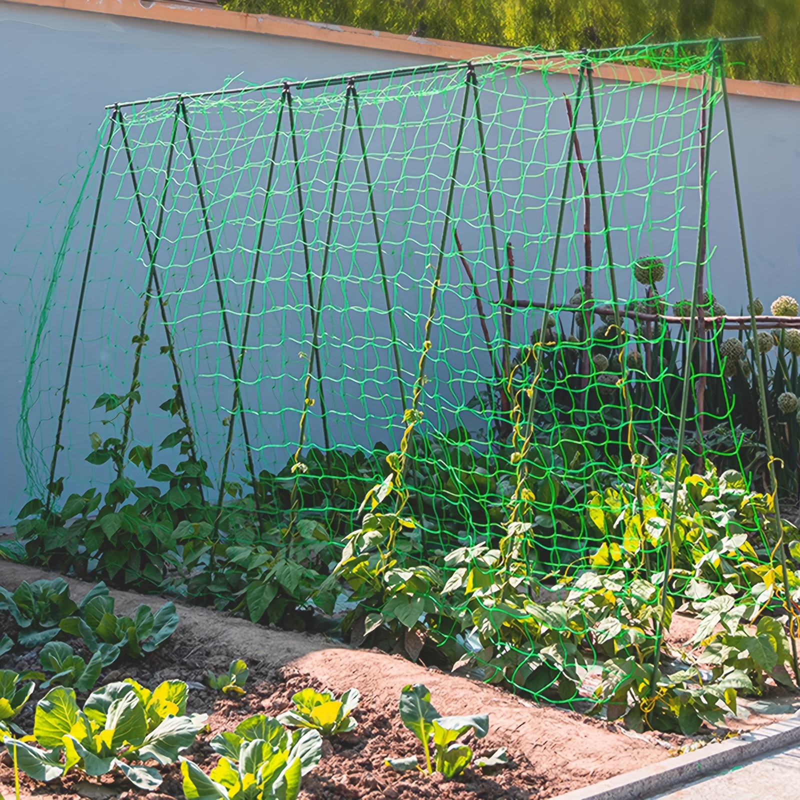 Acheter Filet en treillis pour plantes de jardin, Support en Polyester  robuste pour plantes grimpantes, accessoires de filet de jardin  hydroponique multi-usage