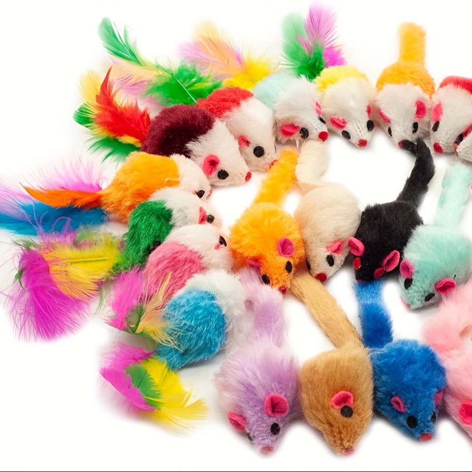 Acheter Jouet interactif pour animaux de compagnie, 1 pièce, bâton pour  taquiner les poils de lapin, chaton, jouet amusant en plumes, fournitures  pour animaux de compagnie, couleur aléatoire