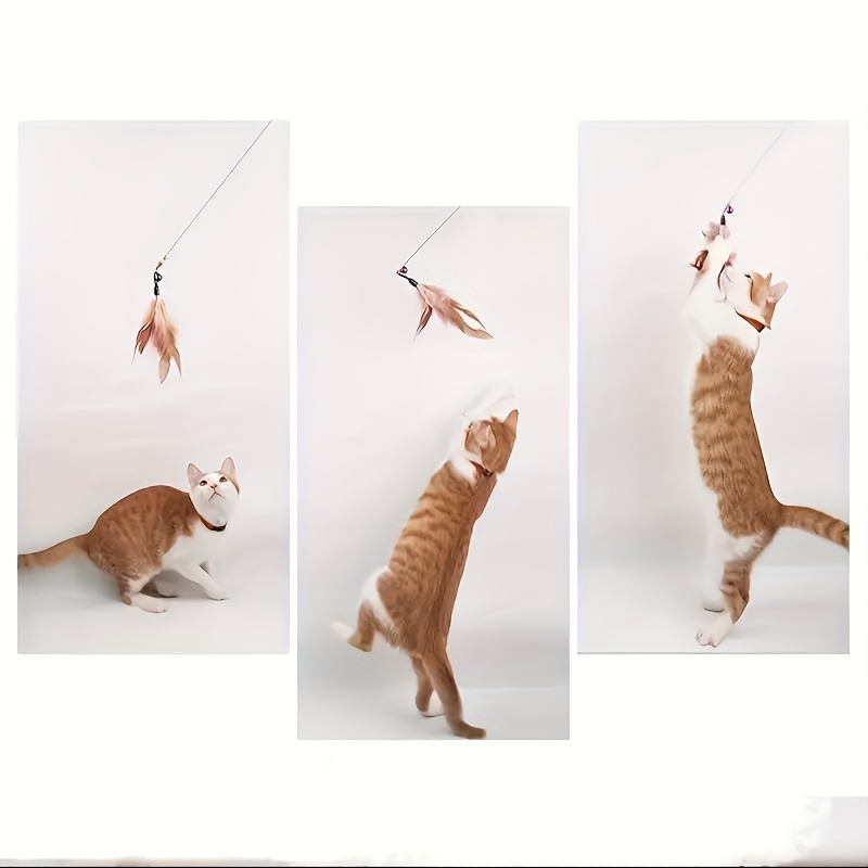 Cat Teaser Stick Toy Interactive Feather Decor Steel Wire - Temu