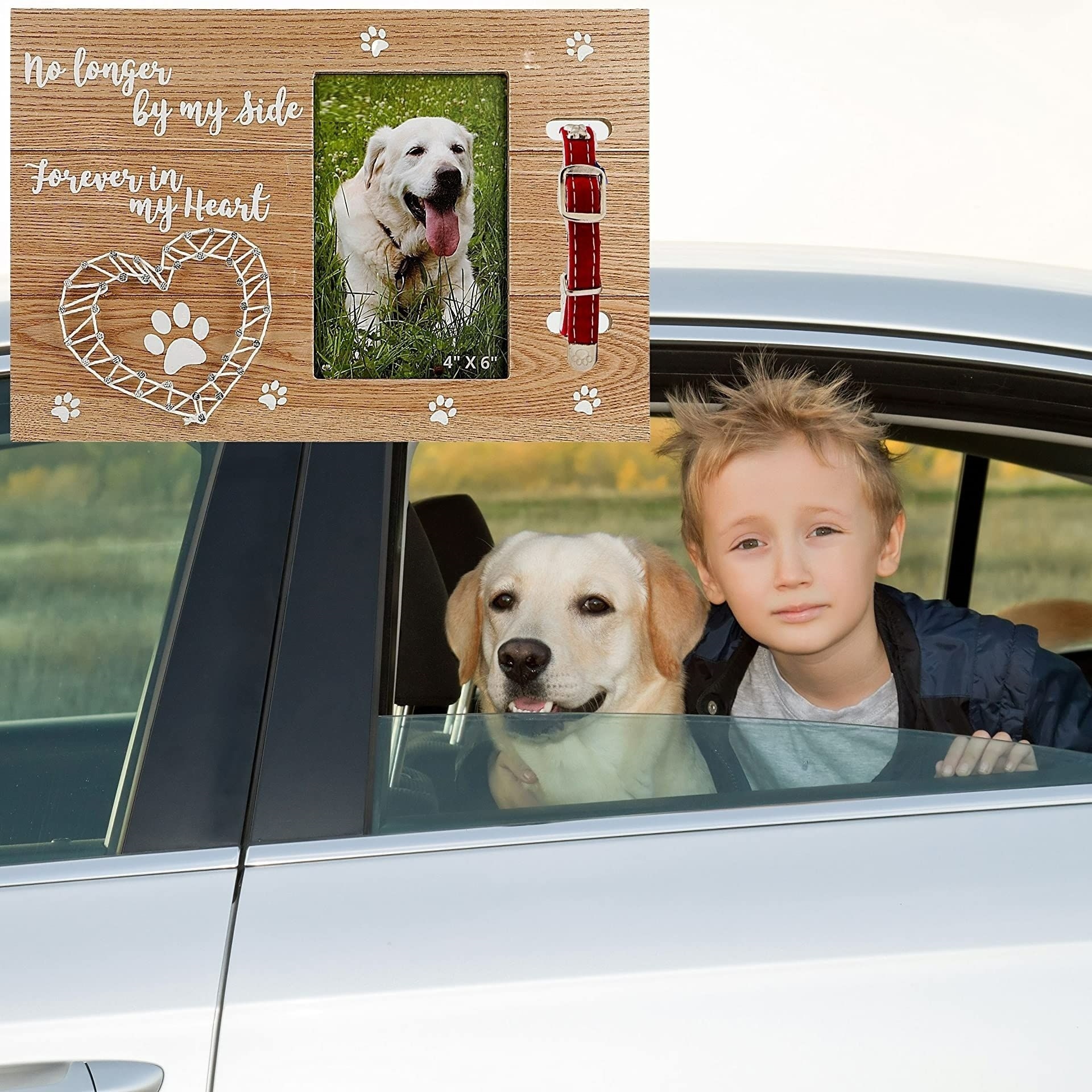 Furry Perfect Pet Memorial Frame with Collar