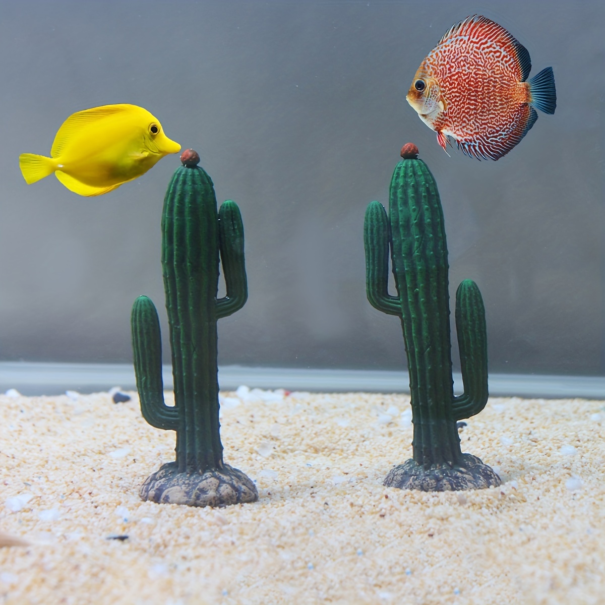 Cactus fish clearance tank decoration