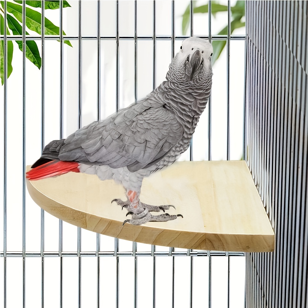 Perroquet à perche support cage à oiseaux perroquet debout bâton