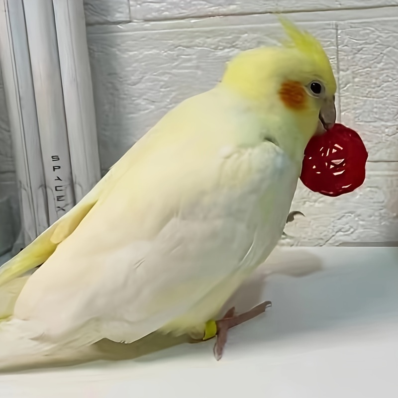 HiCollie インコ オウム 鳥 バードトイ 3? カラフル ラタン ボール