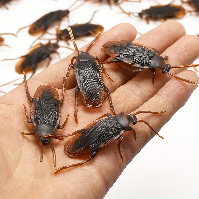 Roach Toy - Temu
