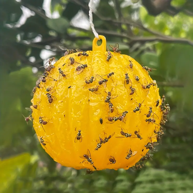Pumpkin Shape Small Insect Trap Flying Bug Trap Ball, Fruit Fly Traps  Sticky Traps For Indoor Outdoor House Kitchen Plants Trees Flying Bugs -  Temu