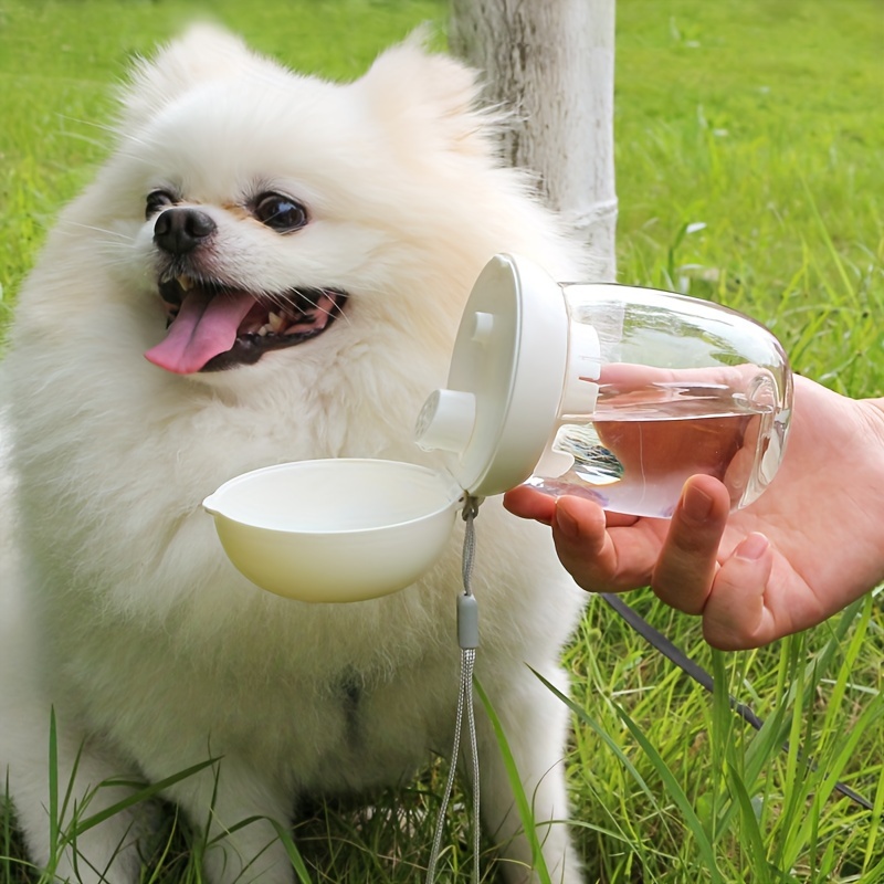 

Distributeur d'eau portable pour animaux de compagnie, bouteille d'eau pliable en plastique résistant à la chaleur pour chien, distributeur d'eau pour animaux de compagnie