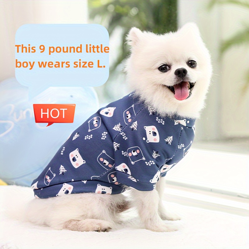 Little dog outlet fashion