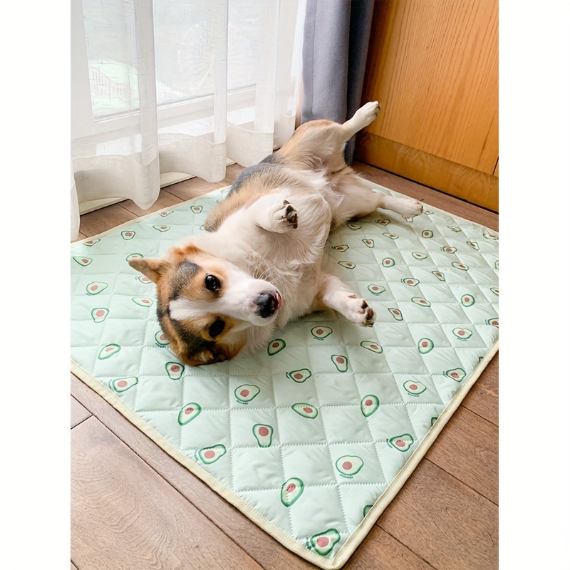 Washable, Waterproof Pet Mats: Keep Your Dog or Cat Comfy and Dry with  Avocado Graphic Floor Mats!