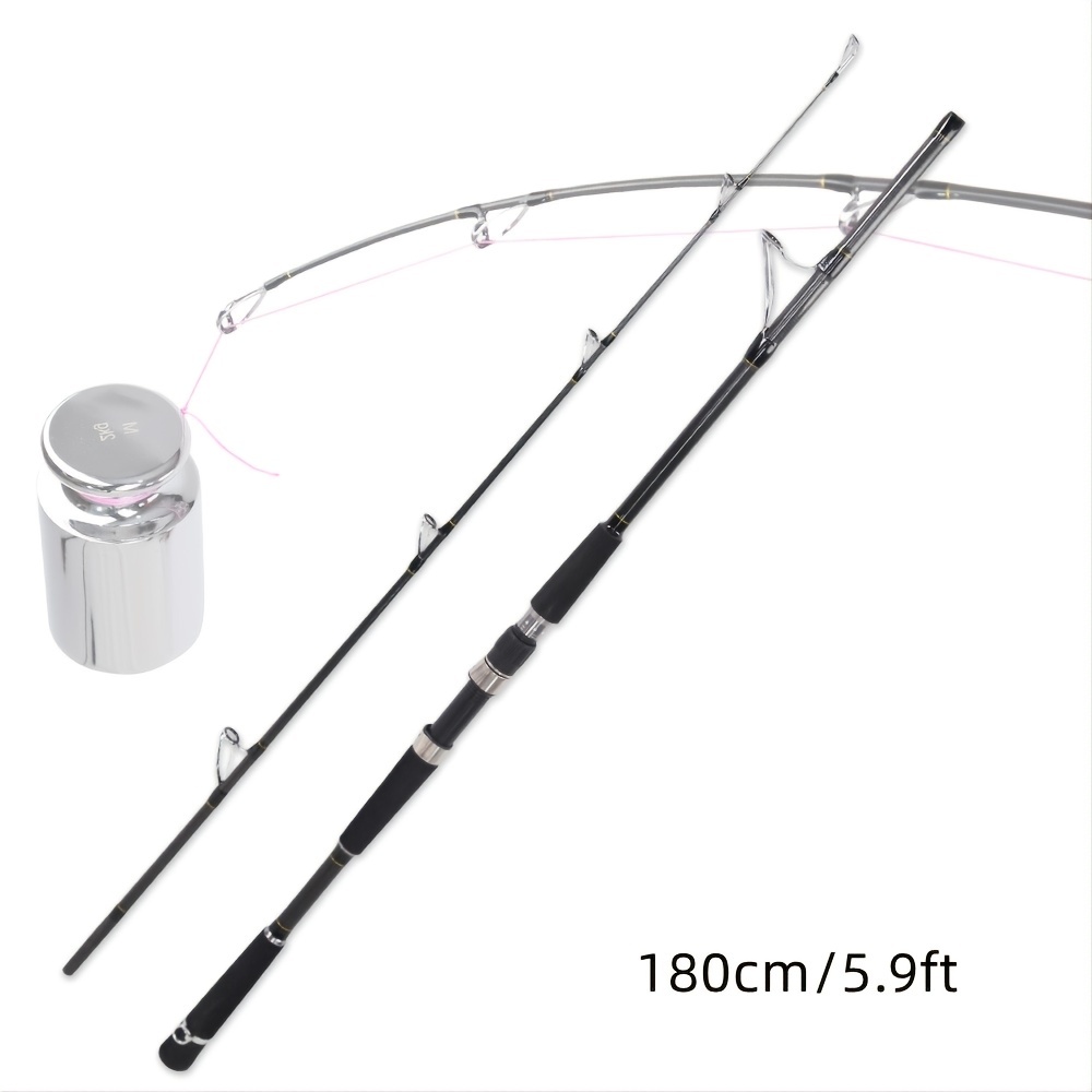 2 Sections Spinning/casting Fishing Rod Portable - Temu