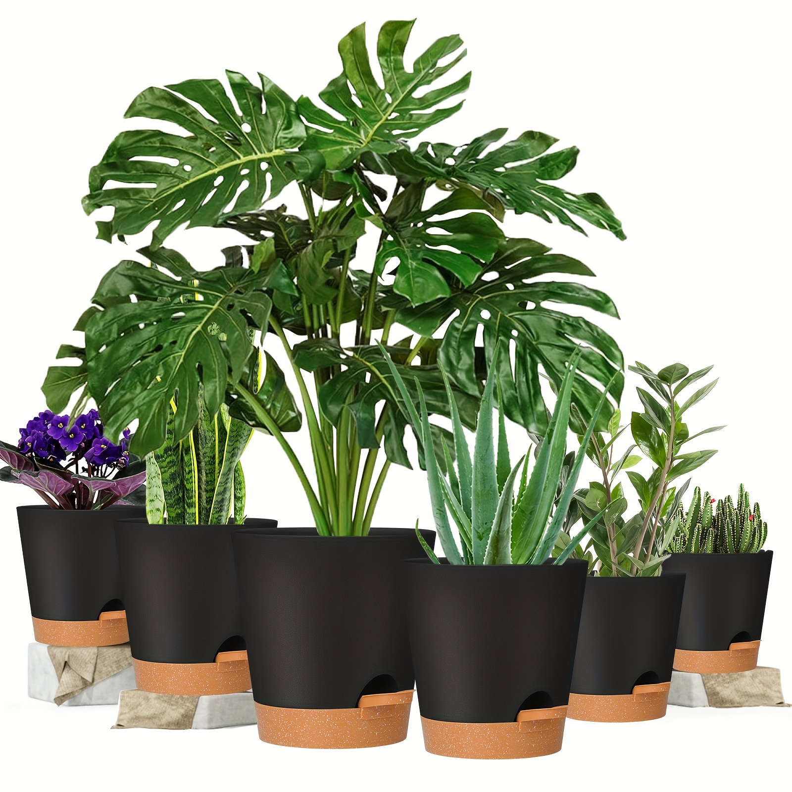 HEMOPLT Pack of 6 Self Watering Planters, 5/6.8 Inch Simulated Metallic  Plant Pots, Thickness of 0.15 Sturdy Flower Pots, Ideal Birthday  (Champagne Gold, Black Silver, Rose Gold) Plastic 