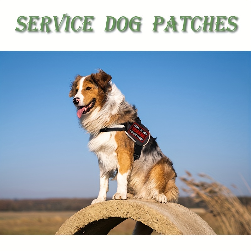 Dog Slogan Patch Stickers Tactical Pet In Training - Temu