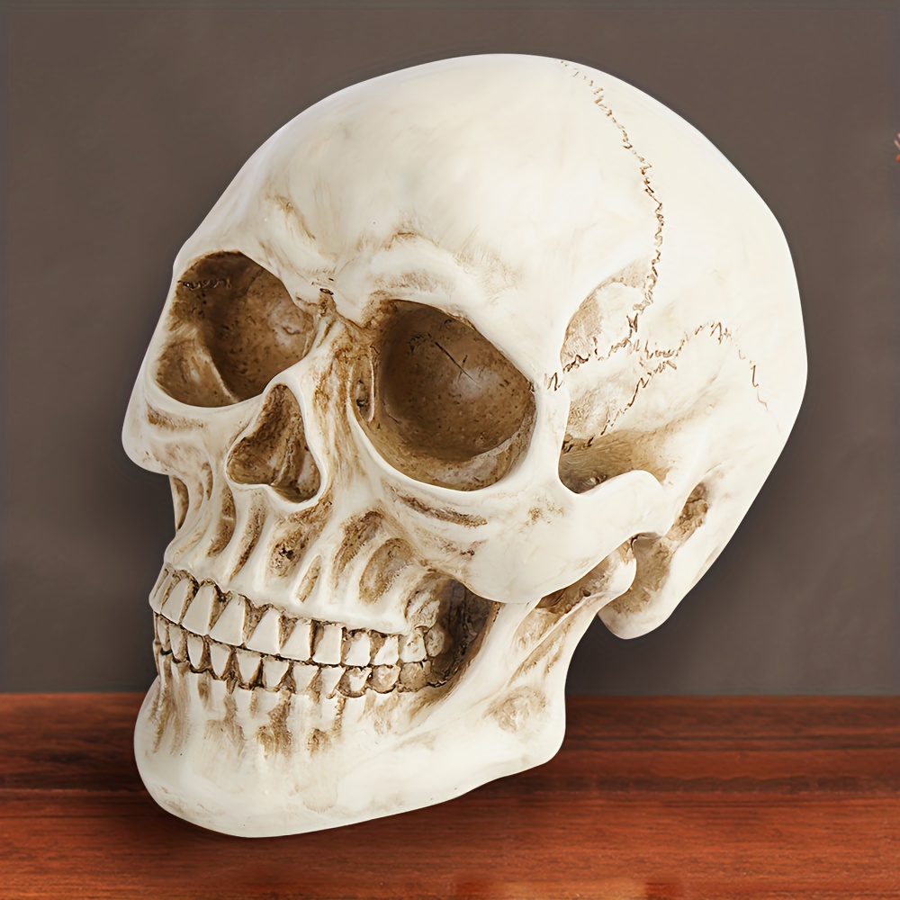Resin Skull Mold Lifesize 1:1 Medical People Skull Model Halloween
