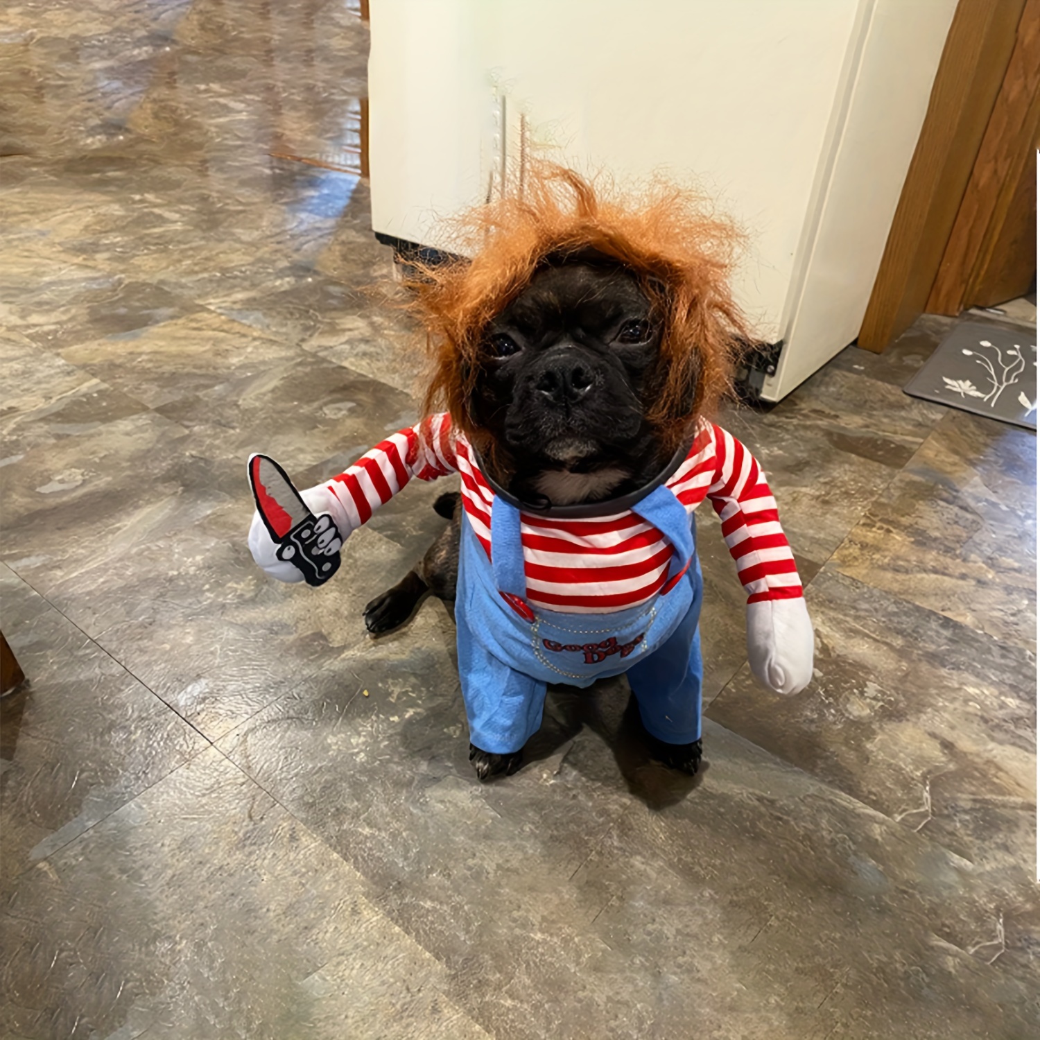 13 Pet Halloween Costumes That Are So Cute, It's Scary