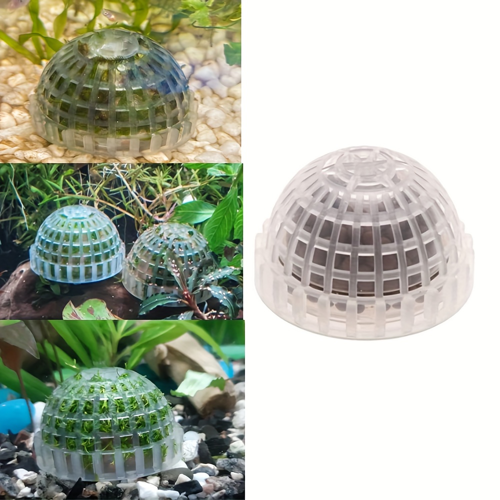 Live Plant Aquarium Decor Moss Ball Filter For Healthy Fish - Temu