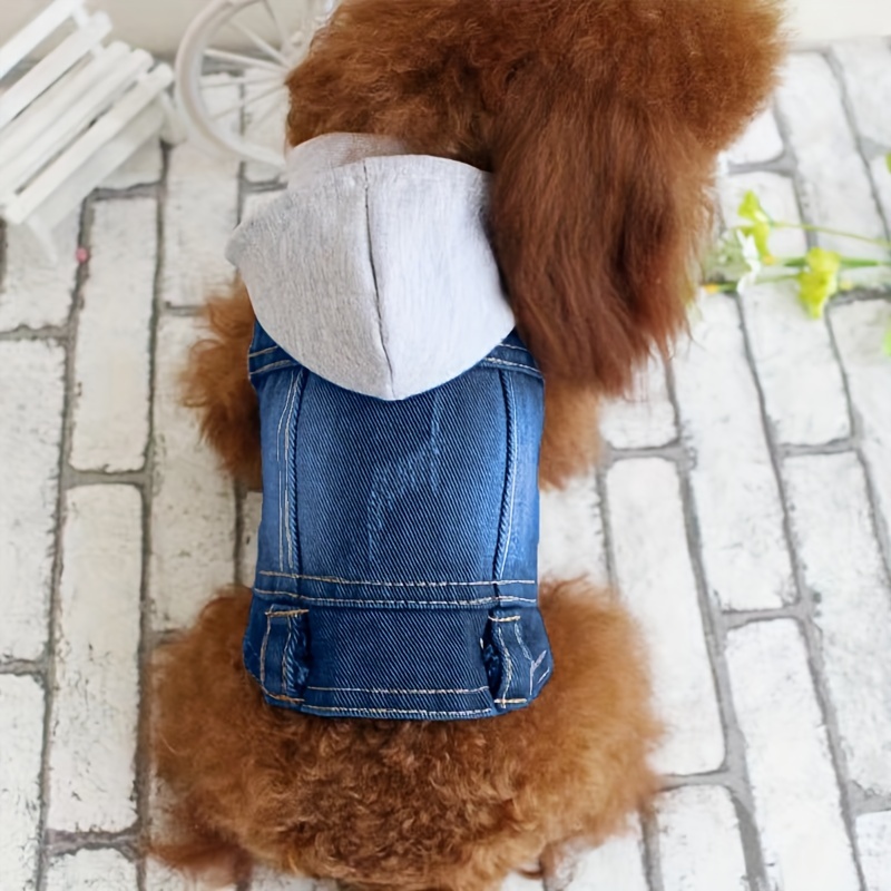 Gucci Dog Clothes - Temu