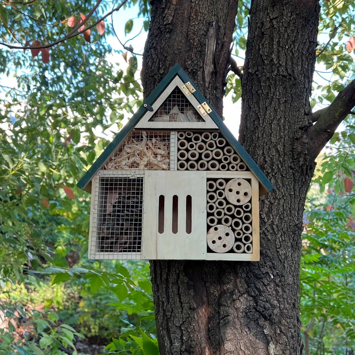 Nid D'abeilles En Bois, Maison En Forme D'insecte Et De Papillon, Outil De  Décoration Pour Le Jardin, Nid D'abeilles En Bois - Ruches - AliExpress