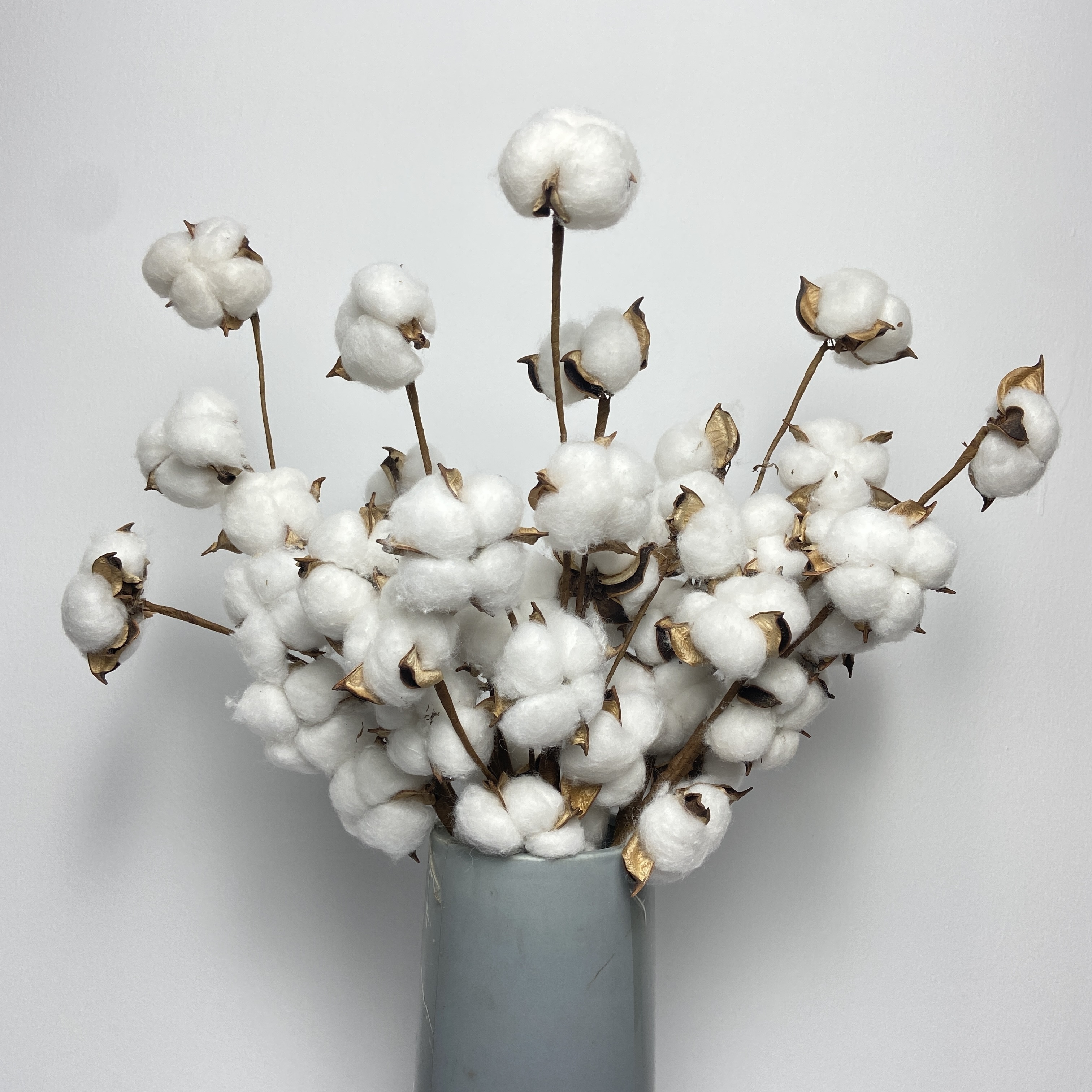 10 tallos de algodón blanco, ramas de flores secas, tallos de algodón para  decoración de boda, flores de algodón, flores secas, decoración de casa –  Yaxa Colombia