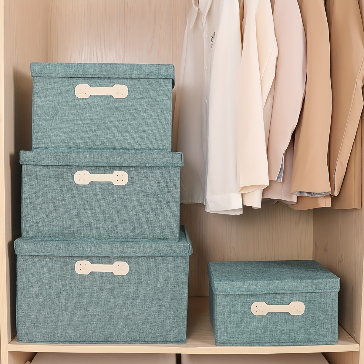 Wardrobe Bag Organizer, Storage Organizer Box, Cabinet Container