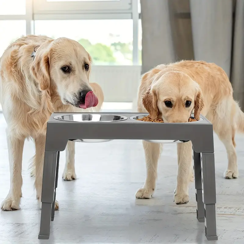 Elevated Dog Bowl Stand With 2 Stainless Steel Dog Food Bowls