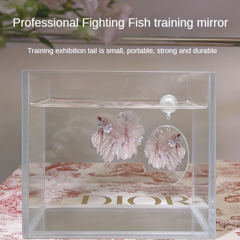 Mirror Mirror On The Wall Whos The Smartest Betta Of All Fish Training  Mirror Aquarium Supplies - Pet Supplies - Temu