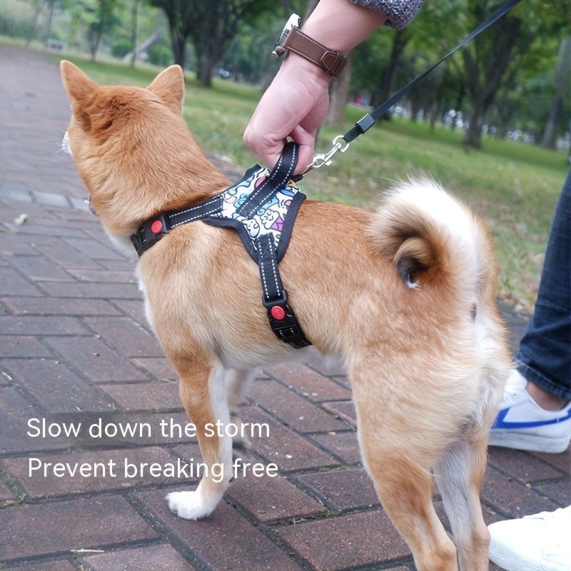 Customize Your Dog's Vest Harness With Reflective Letter - Temu